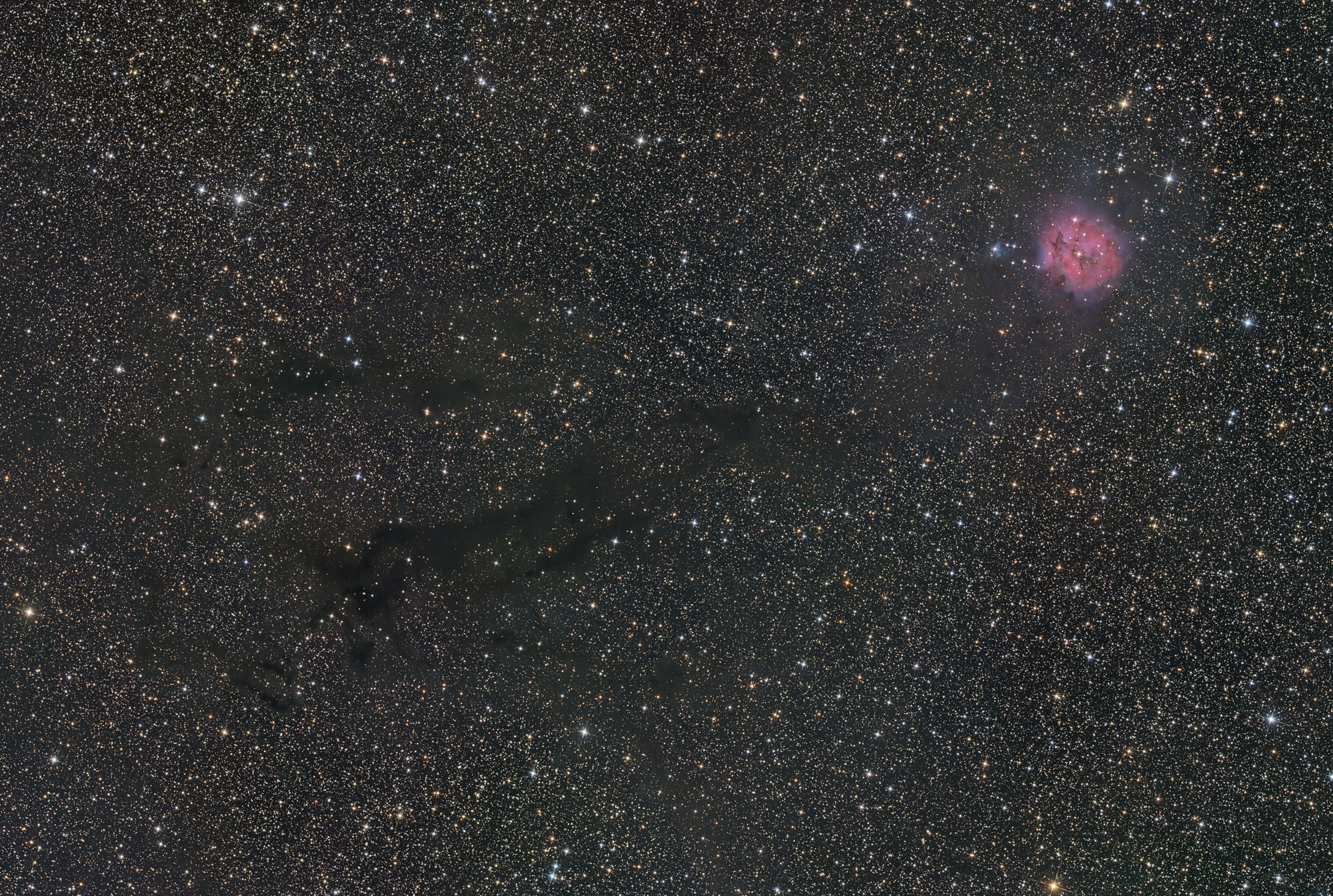 The Cocoon Nebula IC 5146, upper right, is a star-forming region with the embedded open star cluster Collinder 470 in the constellation Cygnus. IC 5146 is located at the end of the elongated dark cloud Barnard 168 and, together with it, is part of an extensive dust cloud.